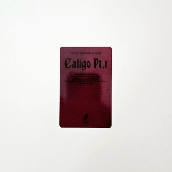 PLAVE Caligo Vanguard Version Group Photocard