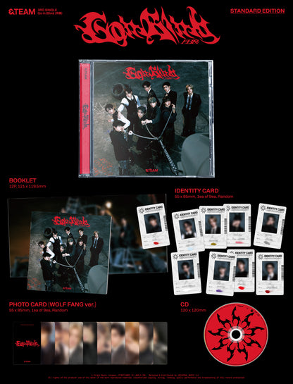 &TEAM - 3rd Single Album [Go in Blind] (STANDARD EDITION)