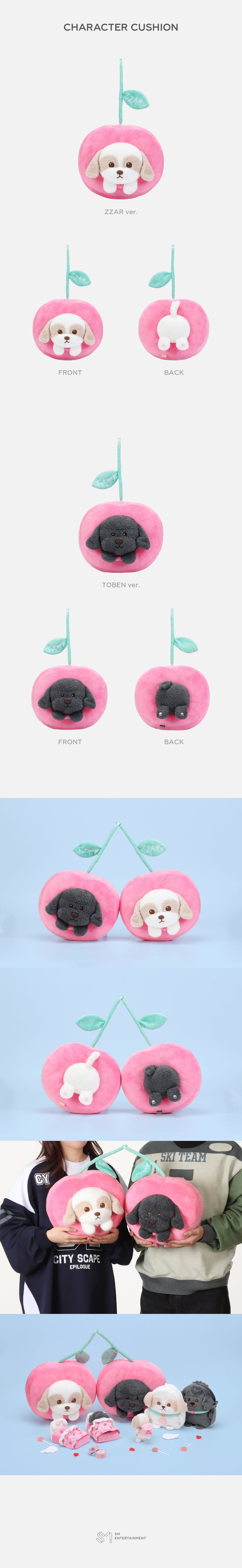 2025 CHANYEOL LIVE TOUR : 都市風景 (City-scape) Epilogue MD CHARACTER CUSHION
