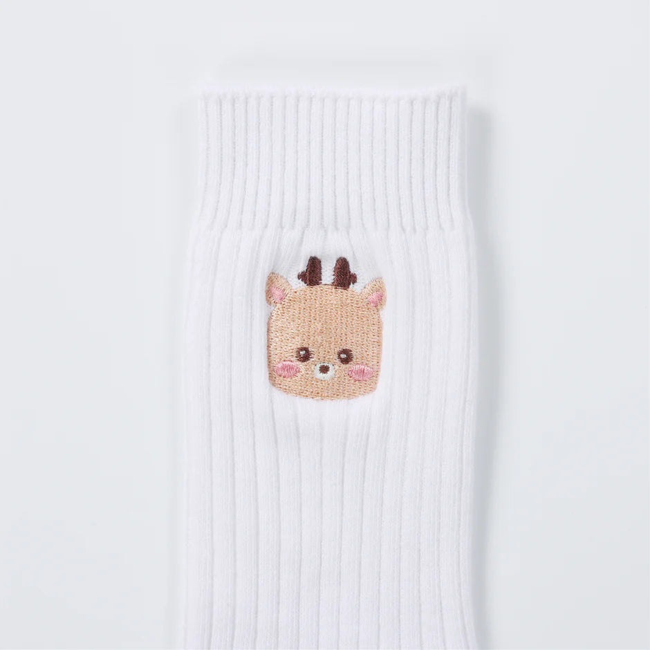 RIIZE 'HUG' SPECIAL MD SOCKS SET