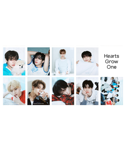 DICON VOLUME Nº33 ALPHA DRIVE ONE : HEARTS GROW ONE